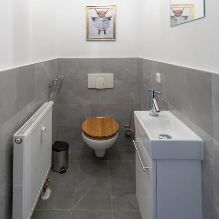 Soulscape - Edler Sanierter Altbau-wohnraum Zentrumsnah Gratis Wifi Zwickau