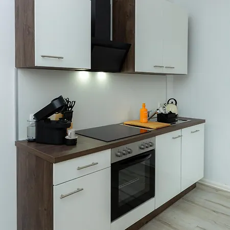 Soulscape - Edler Sanierter Altbau-wohnraum Zentrumsnah Gratis Wifi Апартаменты Цвиккау